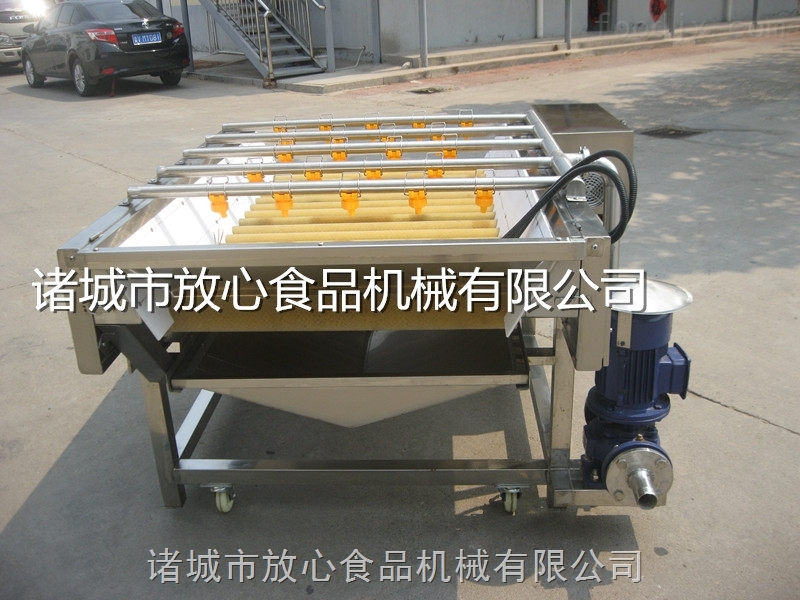 荻笋清洗机 毛辊蔬菜清洗机放心机械