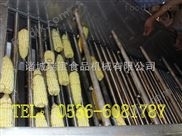 菠菜清洗機(jī) 氣泡清洗機(jī)