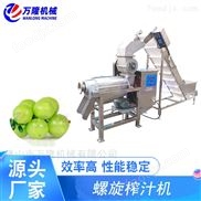 工業(yè)用螺旋榨汁機(jī) 生姜榨汁花草提取原汁機(jī)