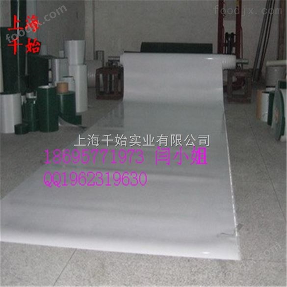 上海食品輸送帶廠家 食品輸送帶機(jī)