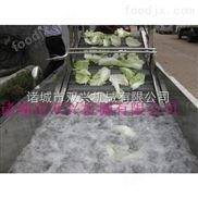 多功能蔬菜氣泡清洗機